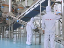 2025年的第一個月，承德亞歐果仁有限公司在山杏產(chǎn)業(yè)的道路上持續(xù)奮進(jìn)，展現(xiàn)出蓬勃的發(fā)展活力。